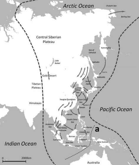 Migratory_Birds_Asia